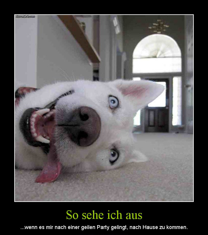 So Sehe Ich Nach Einer Geilen Party Aus