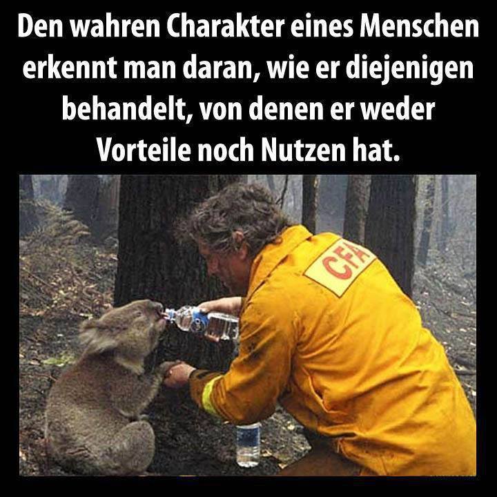 Download Den wahren charakter eines menschen sprueche Free HD