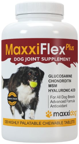 Gelenk-Ergänzungsfutter für Hunde - MaxxiFlex Plus - Hunde Gelenke - Fortschrittliche Formel - Glucosamin HCL, Chondroitin-Sulfat, MSM, Hyaluronsäure, Teufelskralle, Bromelain, Gelbwurz - Linderung Von Arthritisschmerzen - Beste Hüftunterstützung Für Hund