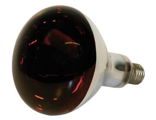 Kerbl 22245 Infrarotlampe 250 W Hartglas, rot