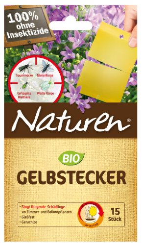 Naturen  Gelbstecker - 15 St.