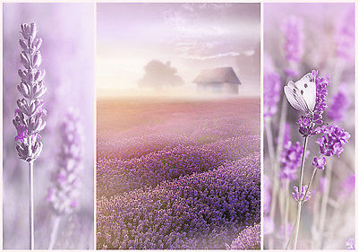 Trefl Romantic Puzzle 1000 Teile Lavendelfelder (10411) 