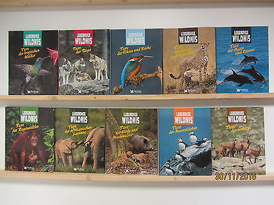 Lebendige Wildnis Tiere in ihrem Lebensraum Tierbildbände Tierbücher Wildtiere