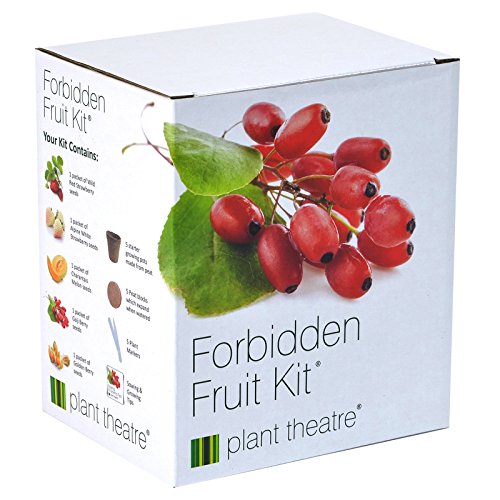 Kit Verbotene Früchte von Plant Theatre - 5 Köstliche Früchte wachsen - Ein tolles Geschenk