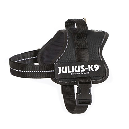 JULIUS-K9, 162PM, K9-Powergeschirr, Größe: Mini, schwarz