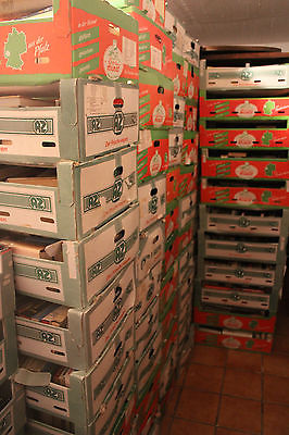 590 Kisten,ca. 18.000 Bücher - Konvolut Sammlung Lager Auflösung Räumung Kartons