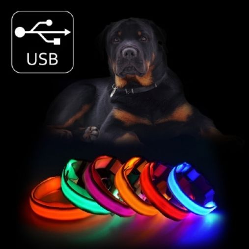 Hunde Leuchthalsband LED Halsband USB Aufladbar Nylon in 5 Farben NEU & OVP