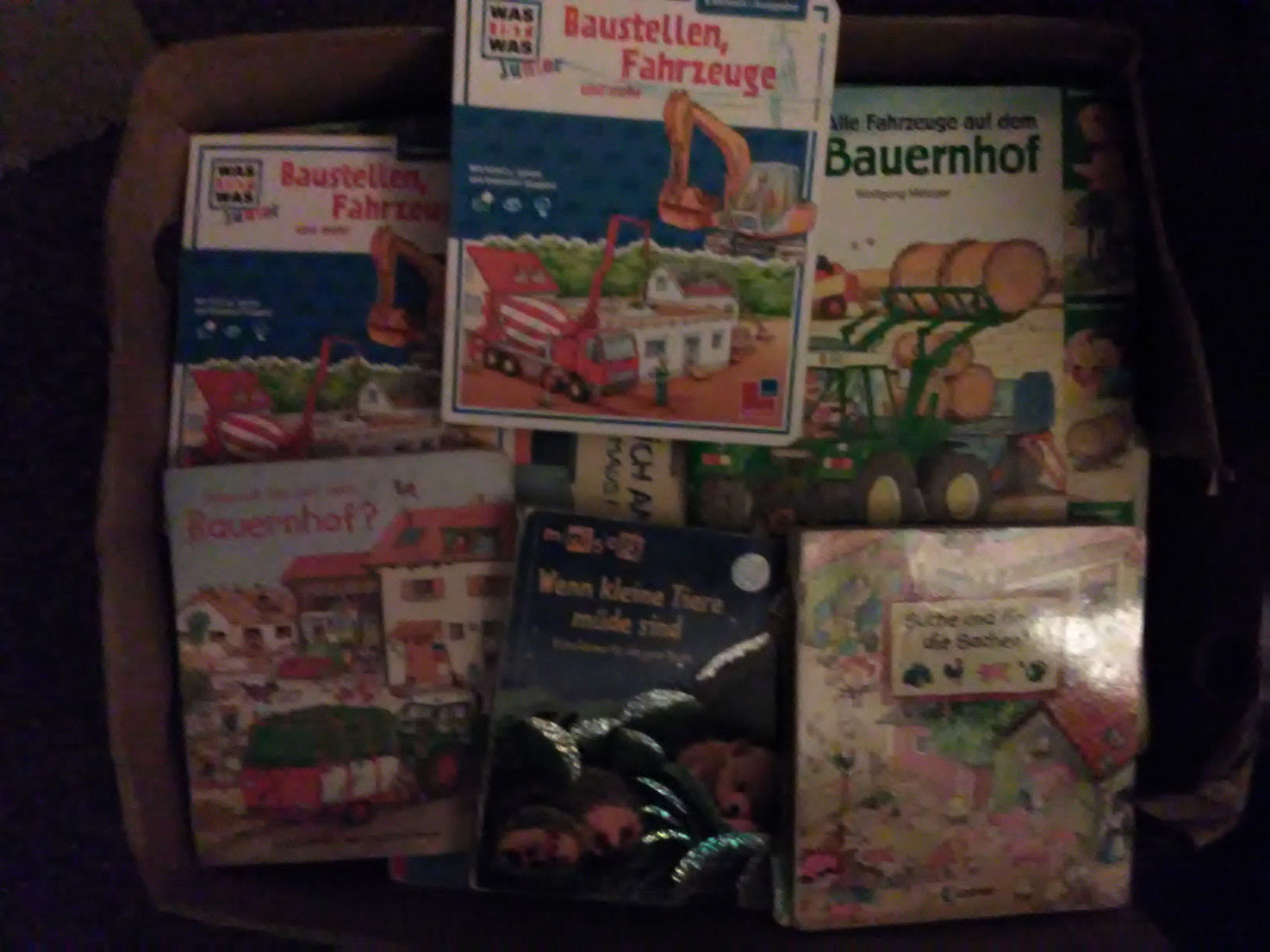 Riesiges Paket von 85 tollen Kinderbüchern Pappbücher Erst Lesebücher