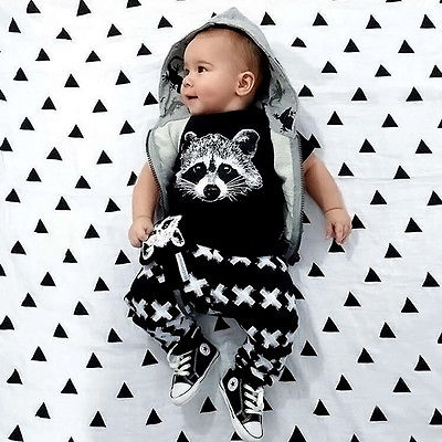 Toddler Baby Jungen Fuchs T-shirt Hose Gamaschen Set Kinder Kleidung Outfit Neu