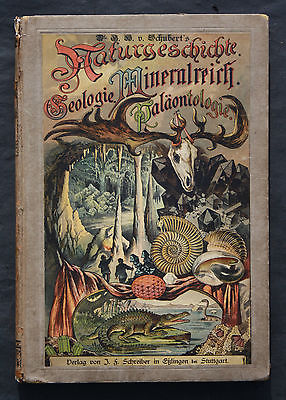 NATURGESCHICHTE DES MINERALREICHS,GEOLOGIE UND PALÄONTOLOGIE,ILLUSTRIERT,1890