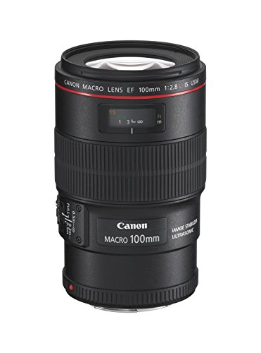 Canon EF 100 mm 2,8 L IS USM Macro-Objektiv (67 mm Filtergewinde, bildstabilisiert) schwarz