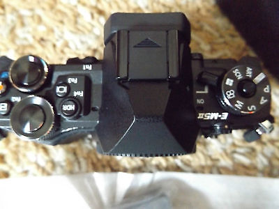 Olympus OM-D E-M5 Mark II 16,1 MP Digitalkamera - Silber (Kit mit EZ-M...