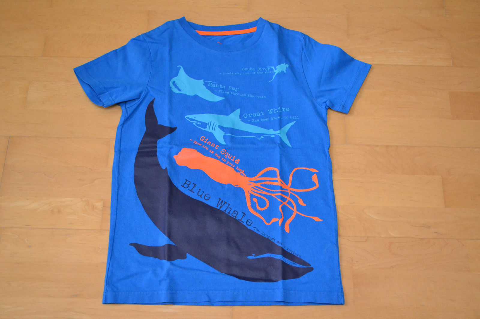 MINI BODEN T-Shirt blau Motiv 'Wal und Meerestiere' Gr. 9-10/134-140