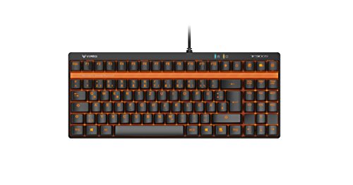 Rapoo VPRO V500S Beleuchtete Mechanische Tenkeyless Gaming Tastatur (Mechanische Switches, 90 programmierbare Tasten, 5 Profile, DE Layout QWERTZ) schwarz