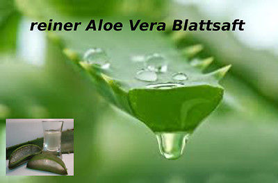 Aloe Vera Saft/Gel flüssig 50ml 100% reiner Aloe Blattsaft 3 kaufen 4 bek.