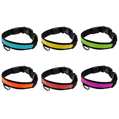 LED Hundehalsband Halsband Leuchtband Leuchthalsband Hund in div Farben & Größen