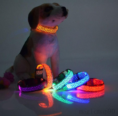 Neu Nylon Hund Leuchthalsband LED Leucht Hundhalsband Blinkhalsband Blitzlicht