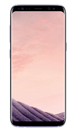 Samsung Galaxy S8 Smartphone (5,8 Zoll (14,7 cm) Touch-Display, 64GB interner Speicher, Android OS) orchid grey