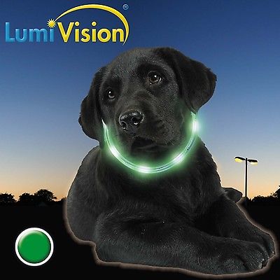 LumiVision AKKU Leuchthalsband mit grünen LED Hund - Version 2015