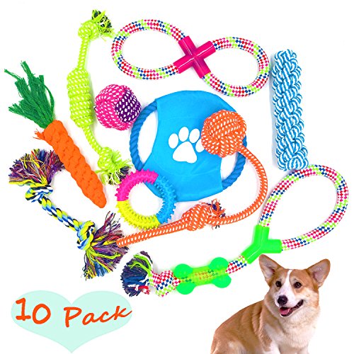 Hundespielzeug Kauspielzeug Interaktives Spielzeug Baumwollknoten Spielset für Hunde - 10 Teile