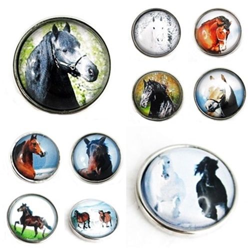 Pferd Horse Clicks Buttons Snap Wechselschmuck kompatibel mit Chunks