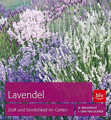 Lavendel: Duft und Sinnlichkeit im Garten