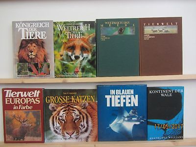 24 Bücher Bildbände Tiere Tierbildbände Säugetiere Fische u.a.