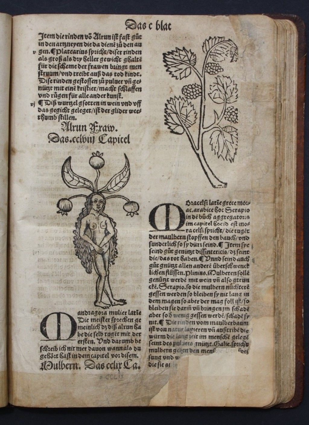 CUBE DAS KREUTTER BUCH ODER HERBARIUS & CRESCENTIUS ACKLERBAW,KNOBLOCH,1531