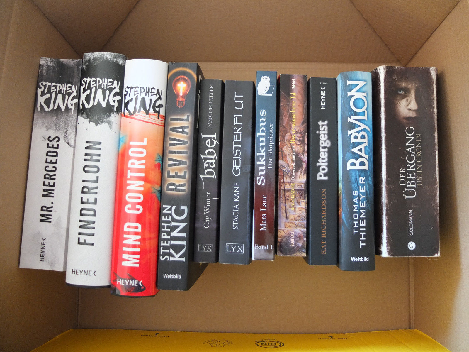 Buchpaket Thriller | Sammlung | Bücherpaket | 10 Bücher
