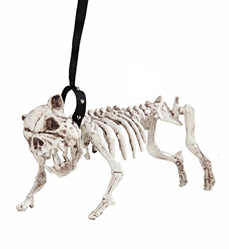 Widmann 01373 - Skelett Hund mit Leine, 45 cm