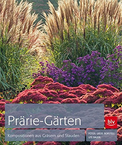 Prärie-Gärten: Kompositionen aus Gräsern und Stauden