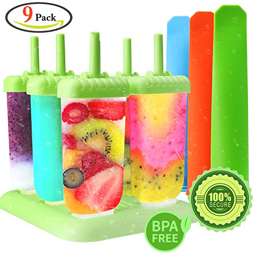 GeMoor Stieleisformer Set Silikon BPA Frei Eis Formen - 6 Stück Eis am Stiel und 3 Stück Eislutscher Formen für Kinder und Erwachsene