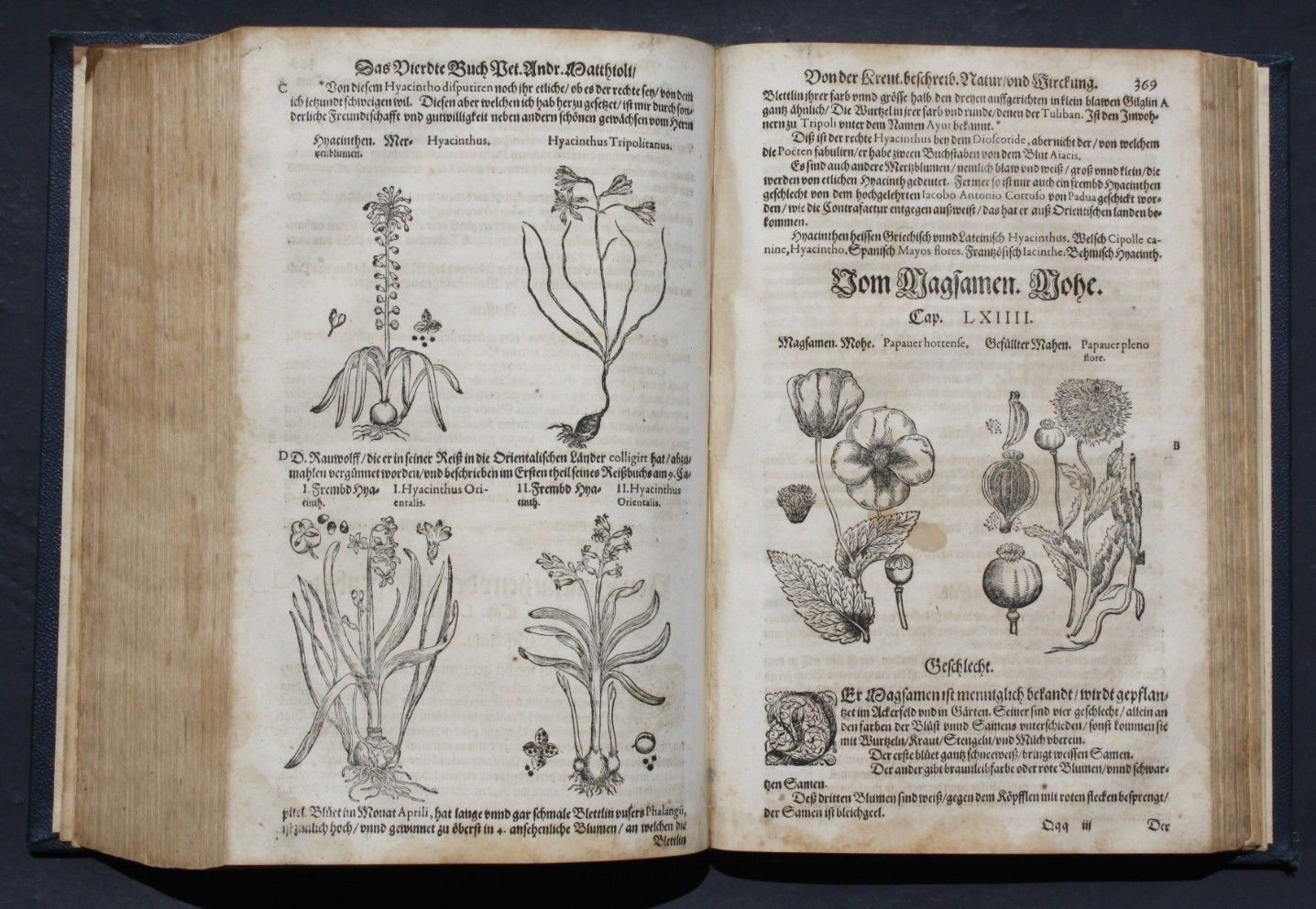 MATTIOLI, KREUTTERBUCH,KRÄUTERBUCH,1000 PFLANZENHOLSCHNITTE,FRANKFURT,1590