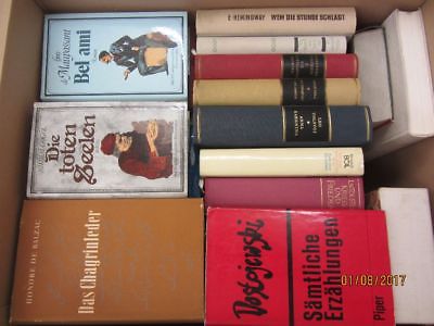 44  Bücher Romane internationale Klassiker Maugham Tolstoi Camus Flaubert u.a.