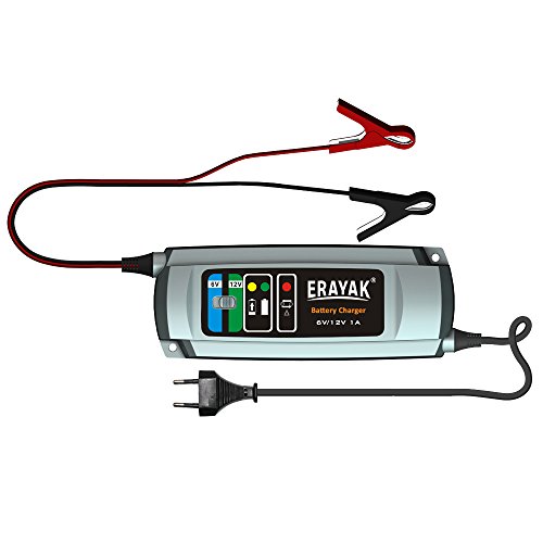 ERAYAK 6V/12V 1A auto ladegerät, betreuer 40AH bleibatterien, Batterieladegeräte alle arten von quads, rasenmäher, motorrad, automobil, wohnmobil und garten, agm, gel - batteries-C9301