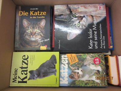 46 Bücher Bildbände Katze Katzenpflege Katzenrassen Katzenerziehung