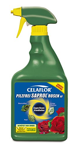 Celaflor Pilzfrei Saprol Rosen AF Anwendungsfertiges Rosen-Spritzmittel zur Bekämpfung von Pilzkrankeiten wie Rosenrost, Mehltau und Sternrußtau, 750 ml Sprühflasche