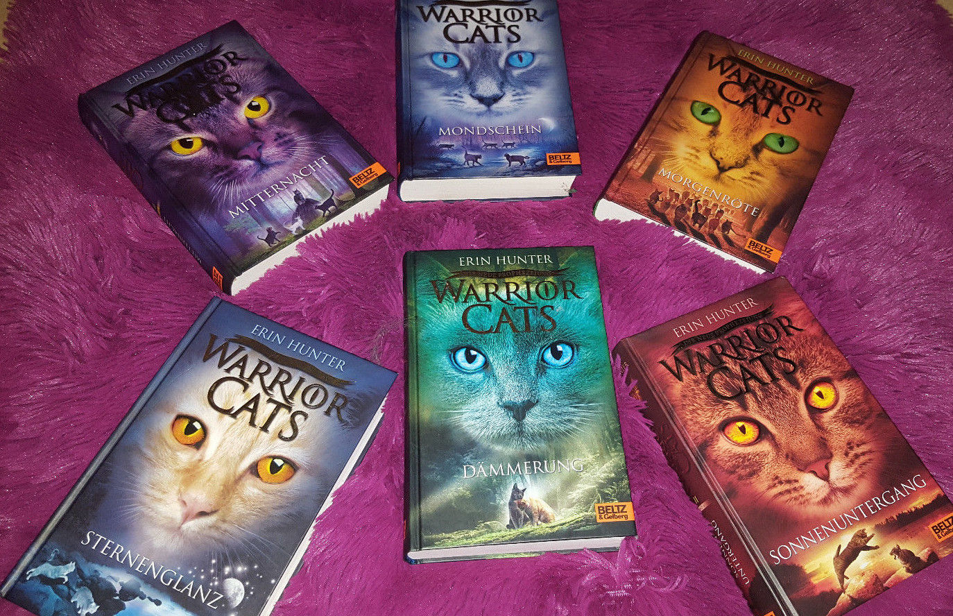 Warrior Cats Staffel 2 gebunden komplett - 6 Bücher