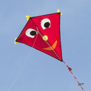 Kinderdrachen - Happy Eddy RED - Einleiner für Kinder ab 3 Jahren - Abmessung: 67x70cm - inkl. 80m Drachenschnur und Schleifenschwanz