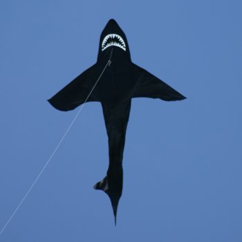 Hai Drachen - Sky Shark - Einleiner-Drachen für Kinder ab 6 Jahren - Abmessung: 143x225cm - inkl. 80m Drachenschnur mit Handgriff