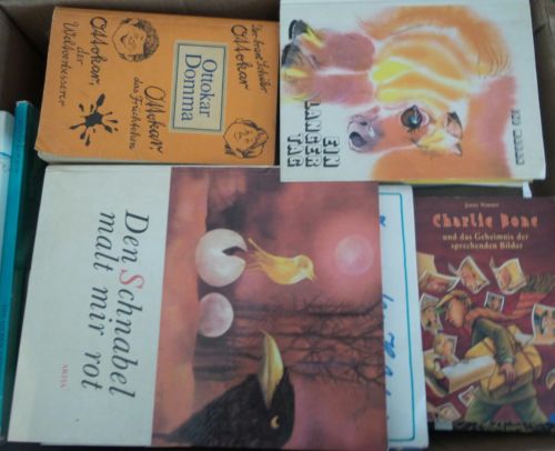 Bücherkiste / Sammlung  Kinderbücher Jugendbücher 70 Stück