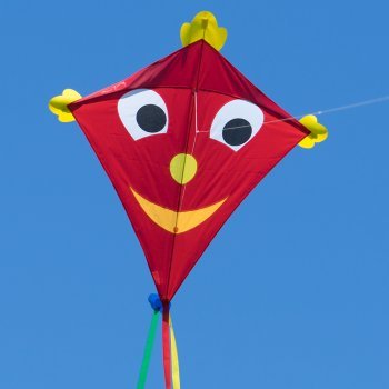 Großer Kinderdrachen - SUPER-DRACHEN Happy Eddy XL – Einleiner Flugdrachen für Kinder ab 6 Jahren - 102x108cm - inklusiv 80m Drachenschnur und Streifenschwänze
