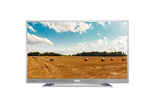 Grundig GFS 5620 55 cm (21,5 Zoll) Fernseher (Full HD, HD Triple Tuner) silber