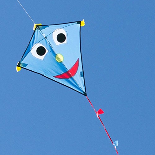 Kinderdrachen - Happy Eddy BLUE - Einleiner für Kinder ab 3 Jahren - Abmessung: 67x70cm - inkl. 80m Drachenschnur und Schleifenschwanz