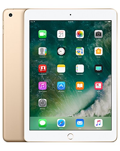 Apple iPad mit WiFi, 32 GB, gold