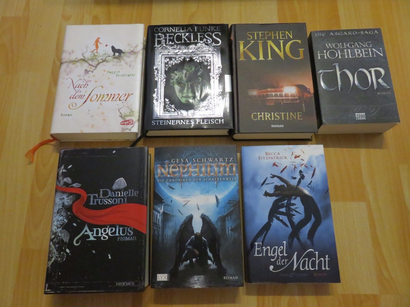 Fantasy Buchpaket, 7 Bücher, Autoren: Stiefvater, Funke, King, Hohlbein uvm.