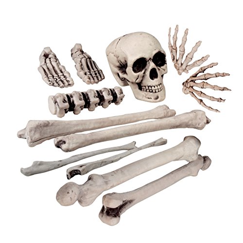Boland 74391 - Skelett Bausatz, 12 Knochen