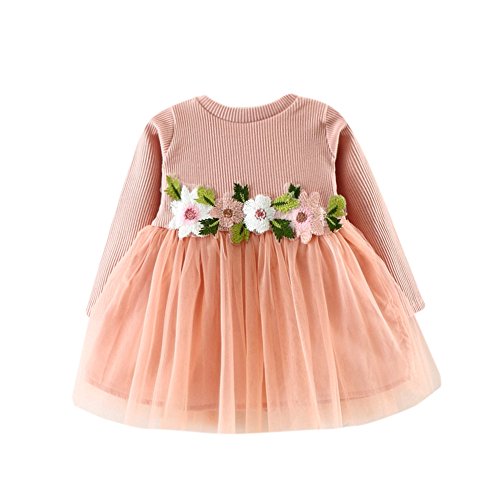 JYJM Nettes Kleinkind Baby Blumen Ballettröckchen langes Hülsen Prinzessin Kleid (Größe: 0-6 Monate, Rosa)