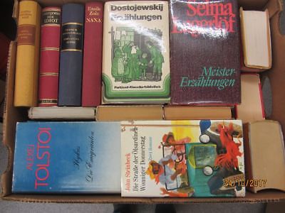 35 Bücher Romane internationale Klassiker Dostojewski Tolstoi Steinbeck u.a.