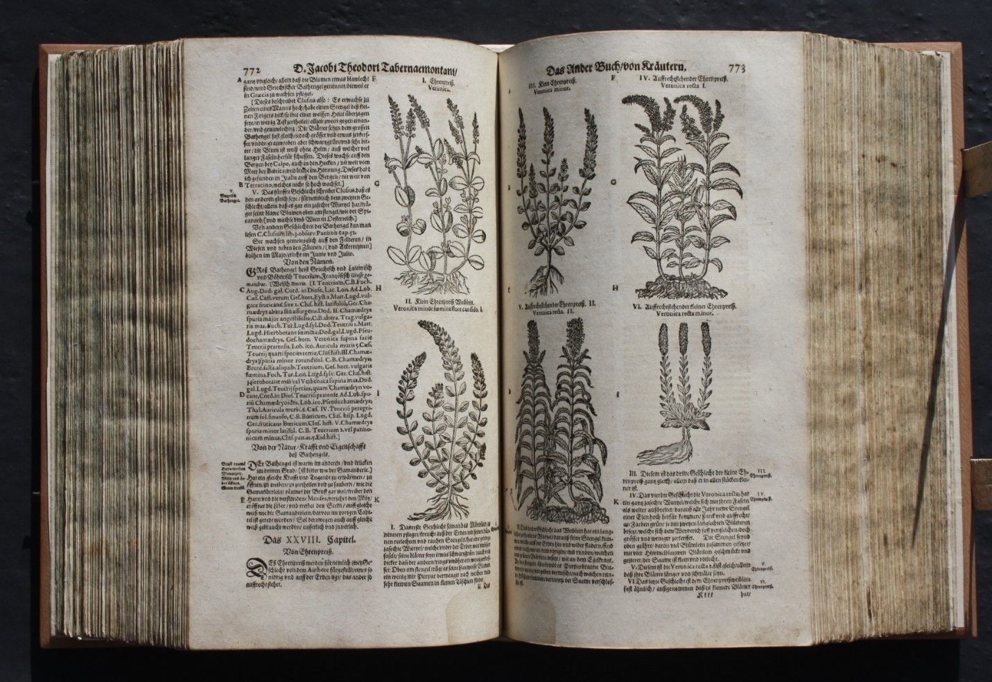 TABERNAEMONTANUS NEW VOLLKOMMEN KRÄUTER-BUCH,WERENFELS,BASEL,1664,RAR